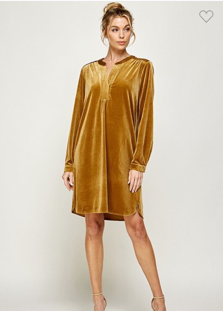 Gold Velvet Dress