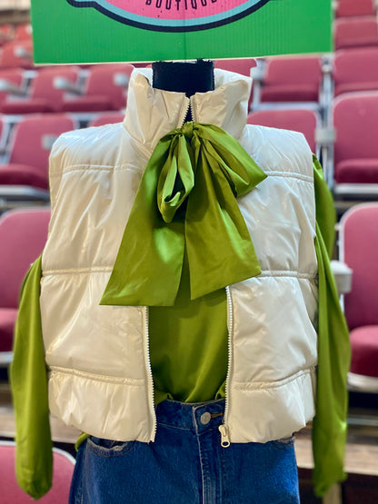 Shiney Puffer Vest